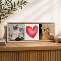 Ceramiczne płytki dekoracyjne Personalizowany Koci Kolaż